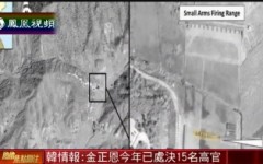 [视频]美卫星拍到朝鲜处决高官画面 动用高射炮