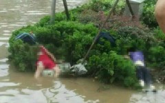 狂风暴雨，江西新干县两小学生回家路上触电身亡
