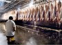 中国时隔14年后恢复进口美国牛肉